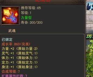 打造无敌武魂（掌握天龙世界的武魂奥义）