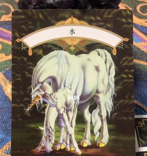 英雄联盟塔罗牌系列皮肤（窥探未来之门）