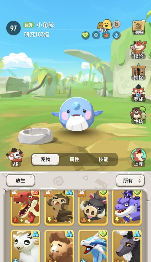 不休的乌拉拉宠物食谱攻略：宠物喜欢吃什么？