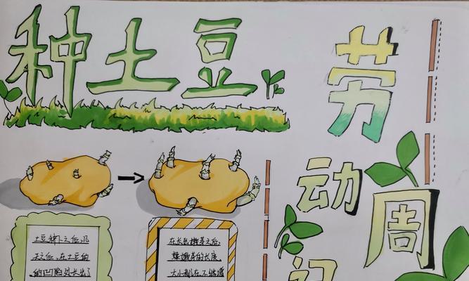 迷你世界中土豆的种植方法是什么？